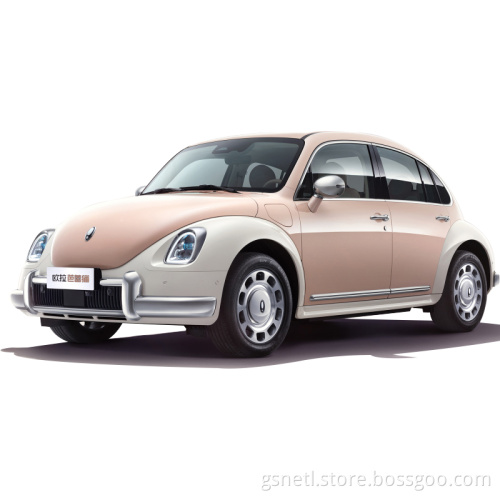 Low price ORA Ballet cat new energy vehicles electric car 14 ora ballet cat ora good cat mat